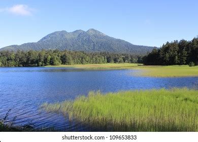 Oze National Park Japan Stock Photo 109653833 | Shutterstock