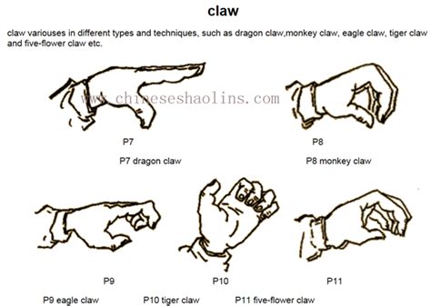 Tiger Claw Kung Fu Techniques