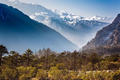 Lachung monastery - Indiano Travel