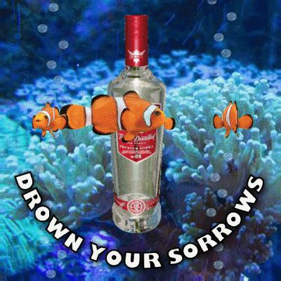 Drowning In Alcohol GIFs - Find & Share on GIPHY