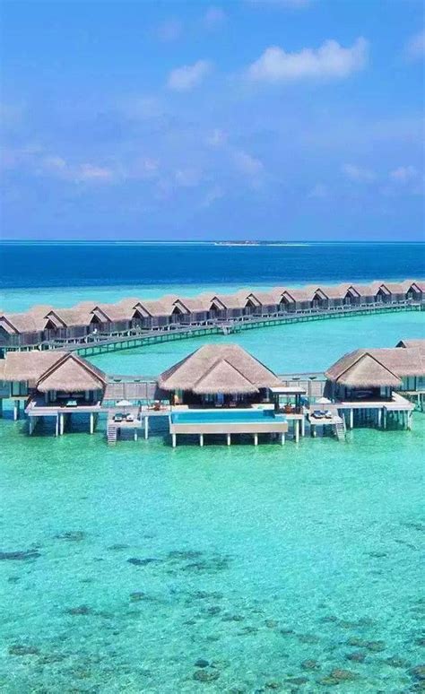 10 Mindblowing 5 star Hotels in The Maldives | Maldives hotel, Dream ...