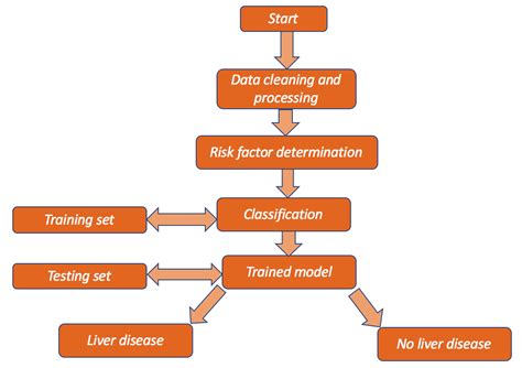 Liver Diagram Unlabeled