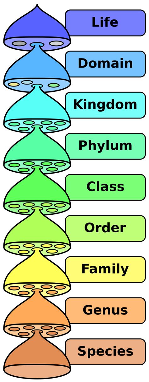 Biological_classification – DBriers.com