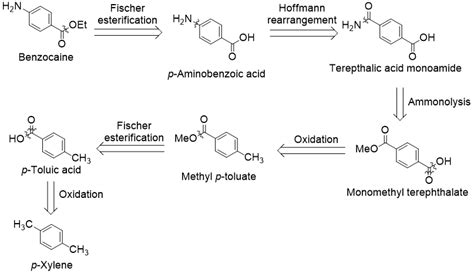 Benzocaine synthesis from toluene and p-xylene - The Science Snail