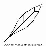 Quill Coloring Page  Ultra Pages sketch template