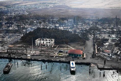 Iconic Lahaina banyan tree threatened by fires: What we know about Maui ...