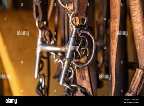 Leather horse bridles and bits hanging on a stable Stock Photo - Alamy