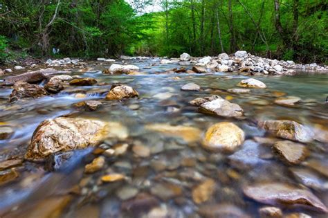 Study sheds light on functioning of global river-based ecosystems