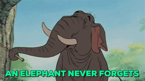 An-elephant-never-forgets GIFs - Get the best GIF on GIPHY