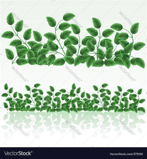 Grass border Royalty Free Vector Image - VectorStock