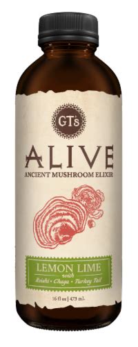 GT's Alive Ancient Mushroom Elixir Lemon Lime Drink, 16 fl oz - King ...