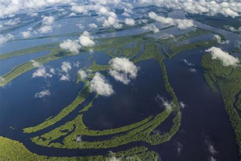 'Aerial of Amazon River Basin, Manaus, Brazil' Premium Photographic ...