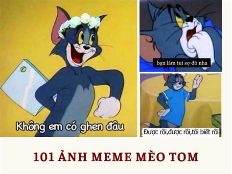 Top 101 ảnh meme mèo Tom hài hước, cute tải xuống miễn phí