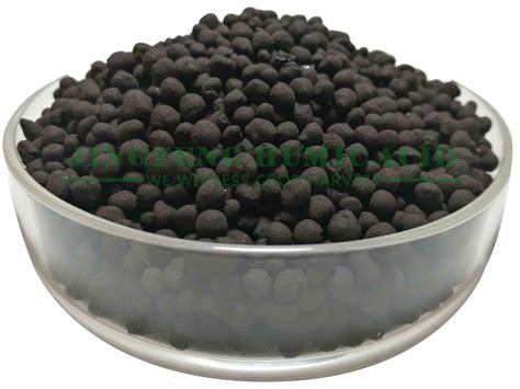 Humic Acid Fertilizer Granular - Humic acid - Humic acid China supplier