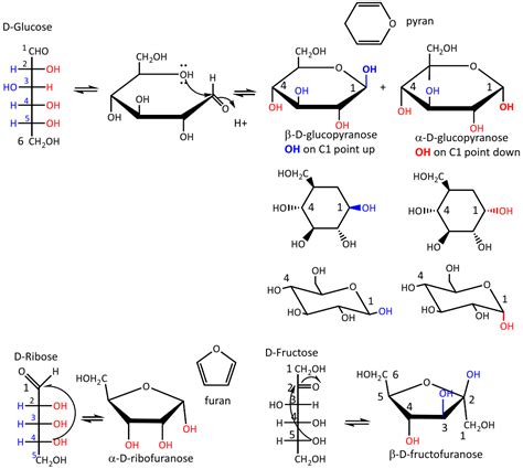 Structure Of Monosaccharides Disaccharides And Polysaccharides