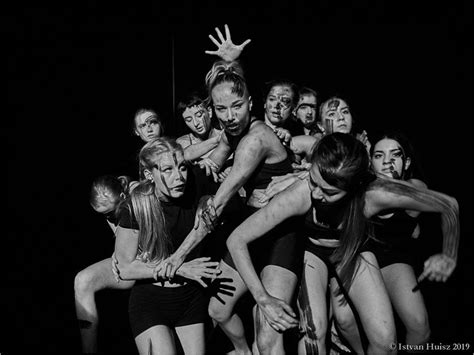 DART Dance Student Program is seeking students | The Dance Platform