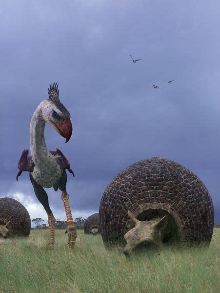 Phorusrhacos and Doedicurus | Prehistoric wildlife, Extinct animals, Ancient animals