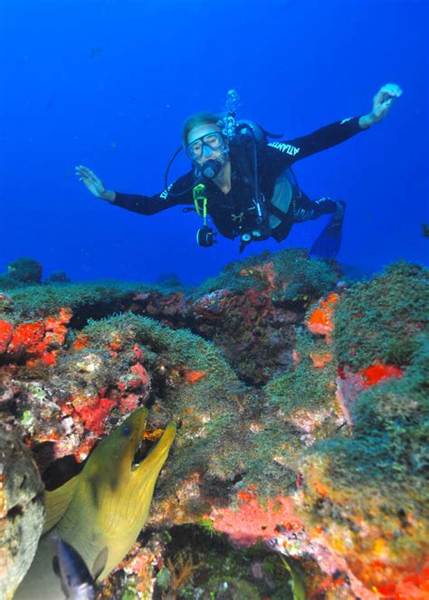 Best diving in Fernando de Noronha, Brazil - Travelling Contessa