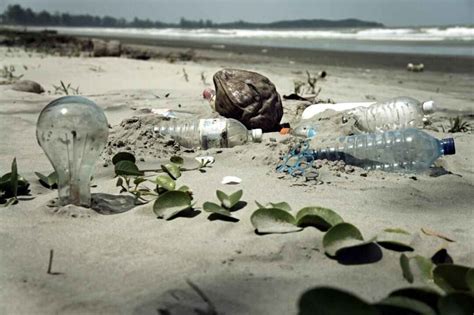 21 Year Old Cracks An Amazing Ocean Cleanup Idea!: TripHobo