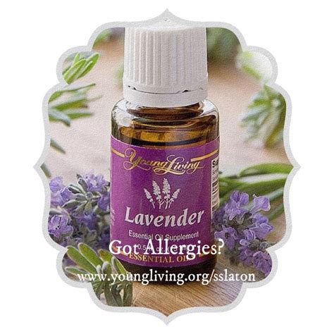 Young Living Lavender Oil! | Young living oils, Calming oils, Young living lavender