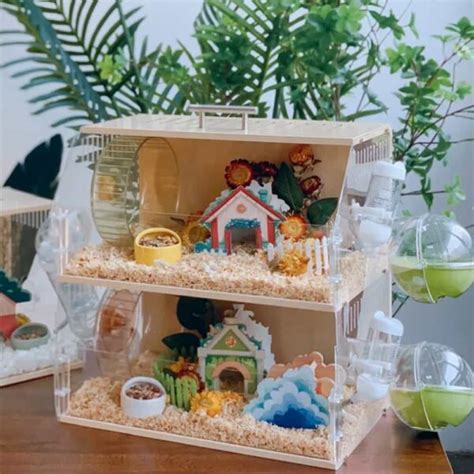 Hamster Travel Cage | Wooden Habitat with Acrylic Sheets