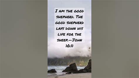 Bible Verses | John 10:11 #worthliving #bibleverseoftheday #audiobible ...