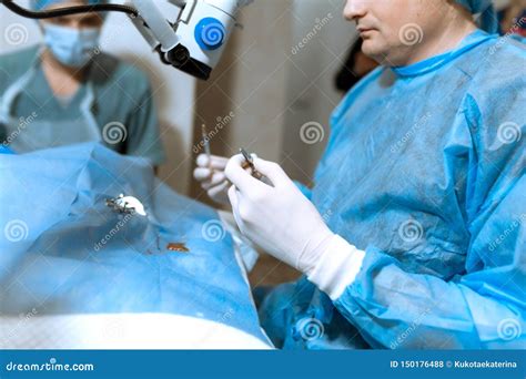 Veterinary Ophthalmologist Do Surgery on Dog Injured Eye Stock Photo - Image of mask, forceps ...