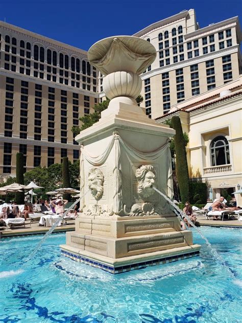 Bellagio Las Vegas Pool: An Honest Review - California Family Travel