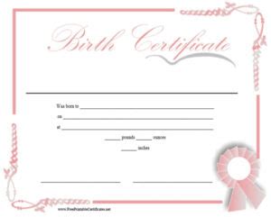 Fake Birth Certificate Maker Free – 11 Free Birth Certificate Within Novelty Birth Certificate ...