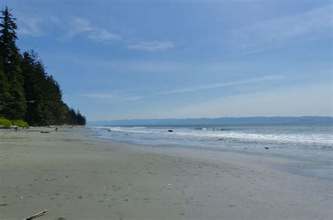 China Beach - Juan De Fuca Provincial park - Handsome Dan