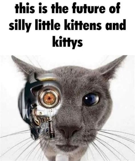 cyberpunk | /r/okbuddyretard | Silly Cats | Know Your Meme