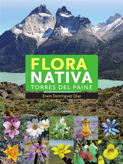 Libro flora torres del paine by Fernando Ruz - chileangarden - Issuu