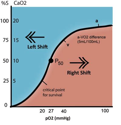 Oxyhemoglobin Dissociation Curve | Member Login | Oakes Academy