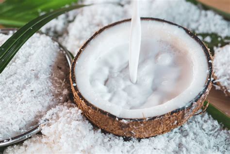 Coconut milk: How to make raw sattvic coconut milk