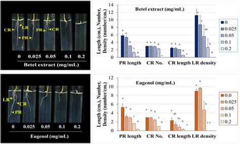 Biological Activity of Plant Extracts