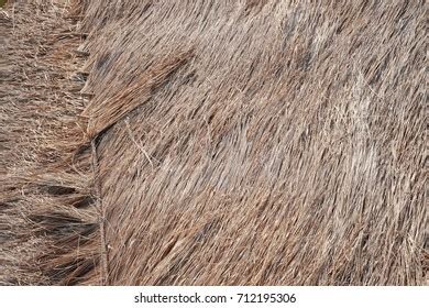 Grass Hay Grass Roof Texture Background Stock Photo 712195306 ...