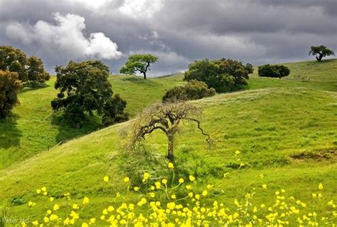 Rolling hills | Beautiful landscapes, Country landscaping, Landscape photography