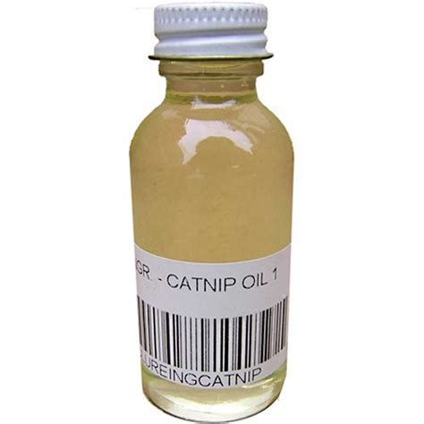 Catnip Oil (1 oz.)