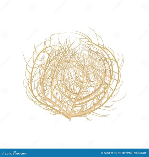 Tumbleweed Cartoon Icon Cartoon Vector | CartoonDealer.com #79643943