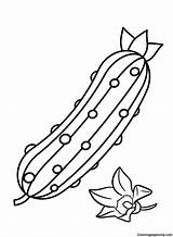Pictures Cucumber Coloring Page  Free Printable Coloring Pages sketch template