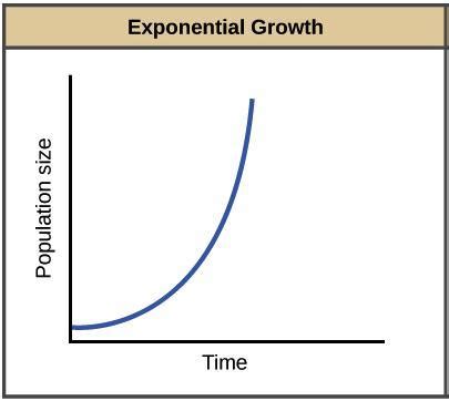 identify one charcteristic of exponential growth - brainly.com