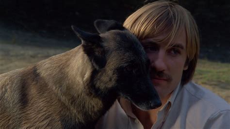 The Dogs (1979) | MUBI