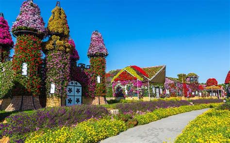 Dubai Miracle Garden Guide: Ticket Price, Timings & More - MyBayut