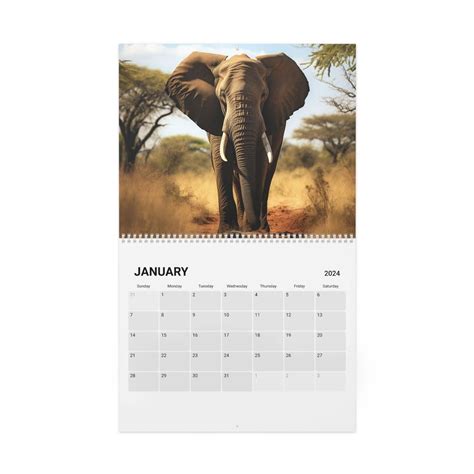 African Wildlife Calendar (2024) sold by Fireplace High-Rise | SKU 97810913 | Printerval