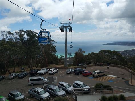 Arthurs Seat Eagle - Skylift Ticket Prices, Hours & Cafe Address VIC