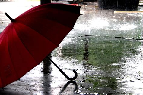 Umbrella In Rain Photograph by Dean Moriarty