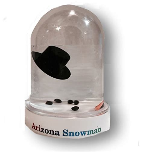 Original Melted Snowman Snowglobe - Arizona Snow Globe