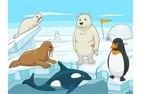 Cartoon Arctic Animals : North or south polar animals cartoon design ...