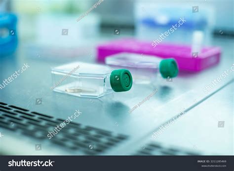 Cell Culture T Flask Cell Culture Stock Photo 2211285469 | Shutterstock