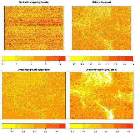 Regional biases on an Affymetrix chip. An Affymetrix chip is ...